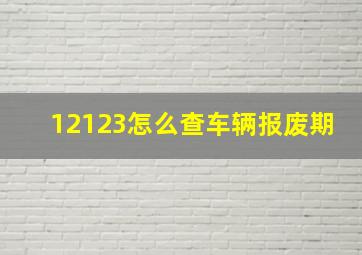 12123怎么查车辆报废期