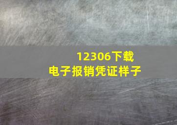 12306下载电子报销凭证样子