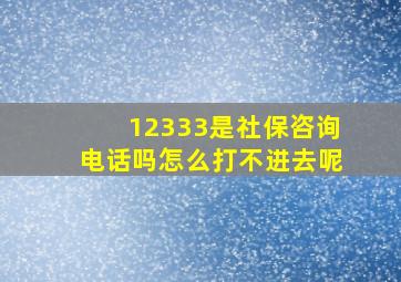 12333是社保咨询电话吗怎么打不进去呢