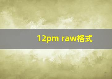 12pm raw格式