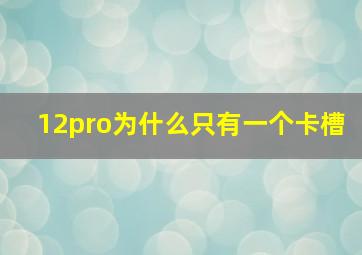 12pro为什么只有一个卡槽