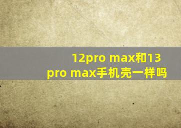 12pro max和13pro max手机壳一样吗