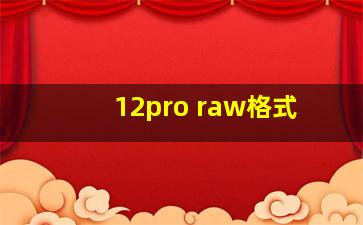 12pro raw格式