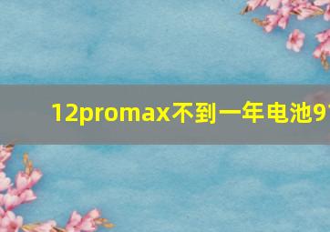 12promax不到一年电池91