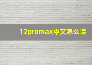 12promax中文怎么读