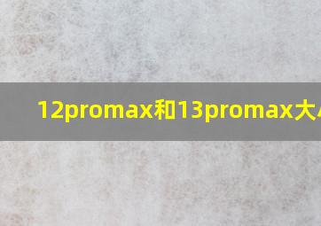 12promax和13promax大小对比