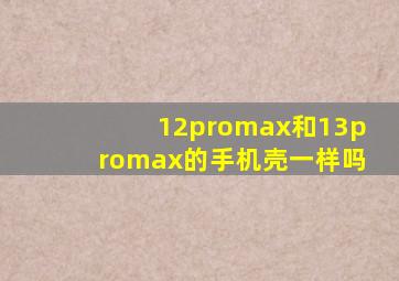 12promax和13promax的手机壳一样吗