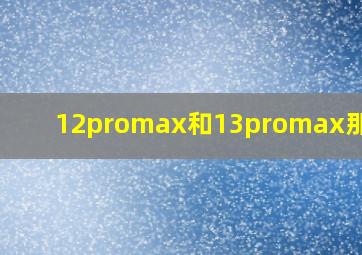 12promax和13promax那个大