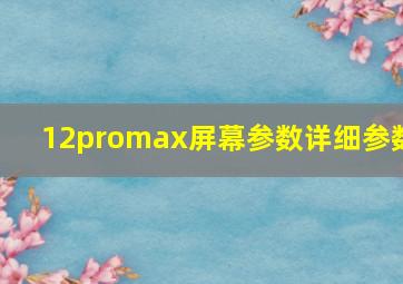 12promax屏幕参数详细参数