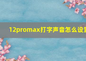 12promax打字声音怎么设置