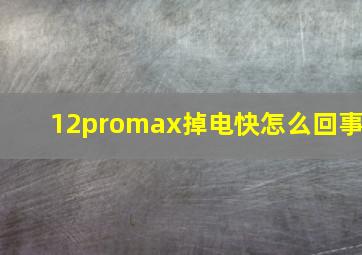 12promax掉电快怎么回事