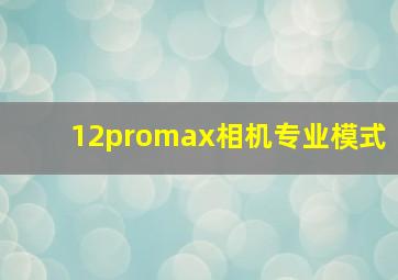 12promax相机专业模式