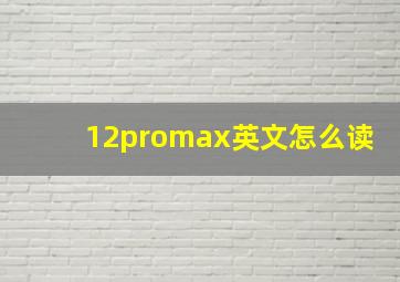 12promax英文怎么读