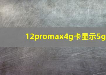 12promax4g卡显示5g