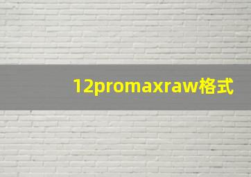 12promaxraw格式