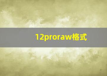 12proraw格式