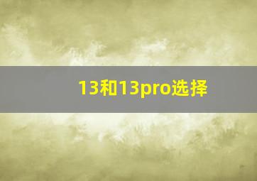 13和13pro选择