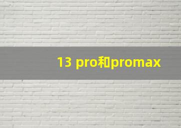 13 pro和promax