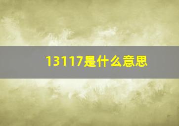 13117是什么意思