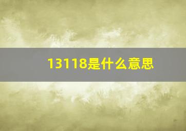 13118是什么意思