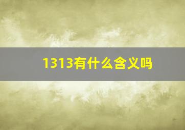 1313有什么含义吗