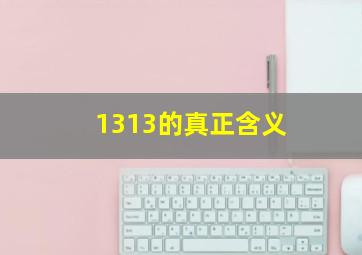 1313的真正含义