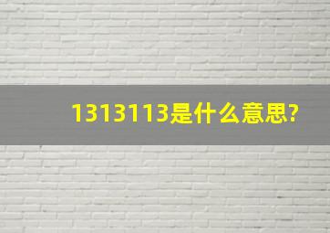 1313113是什么意思?