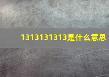 1313131313是什么意思