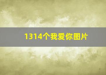 1314个我爱你图片