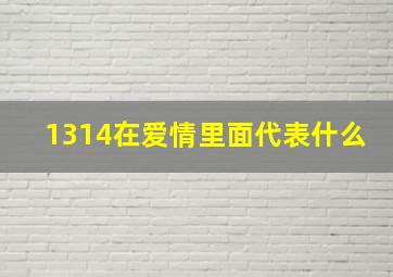 1314在爱情里面代表什么