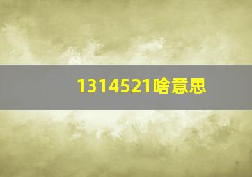 1314521啥意思