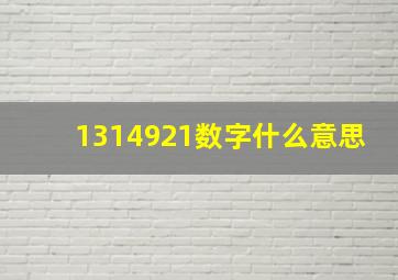 1314921数字什么意思