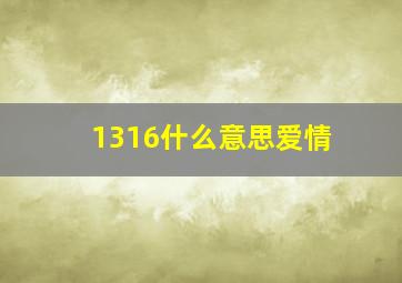 1316什么意思爱情