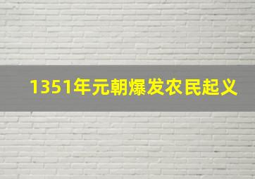 1351年元朝爆发农民起义