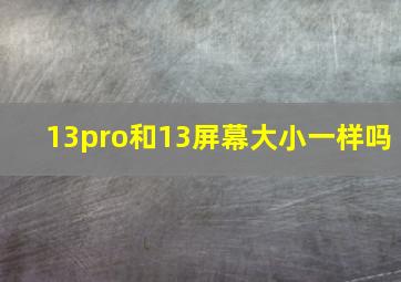 13pro和13屏幕大小一样吗