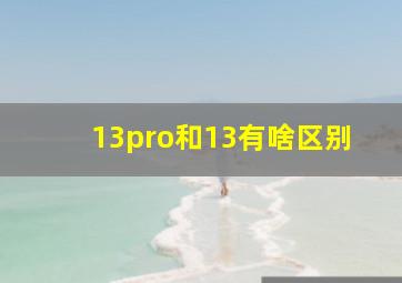 13pro和13有啥区别