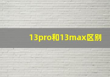 13pro和13max区别