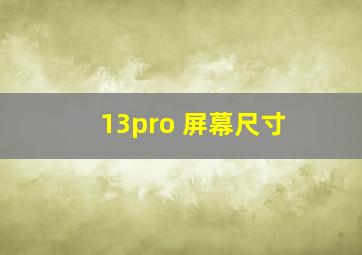 13pro 屏幕尺寸