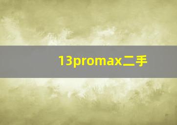 13promax二手