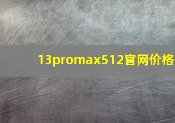 13promax512官网价格