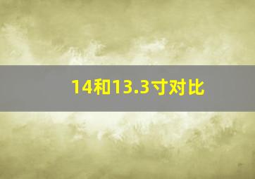 14和13.3寸对比