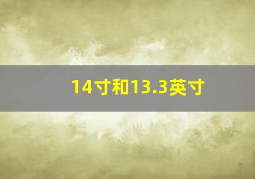 14寸和13.3英寸