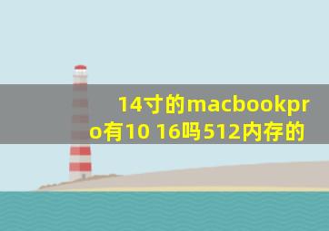 14寸的macbookpro有10+16吗512内存的