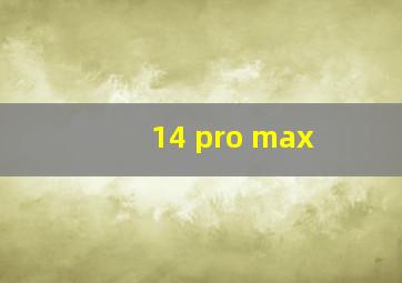 14 pro max