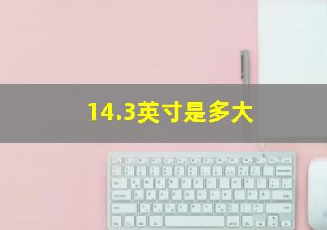 14.3英寸是多大