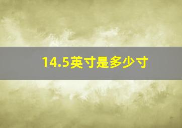 14.5英寸是多少寸