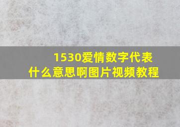 1530爱情数字代表什么意思啊图片视频教程