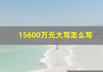 15600万元大写怎么写