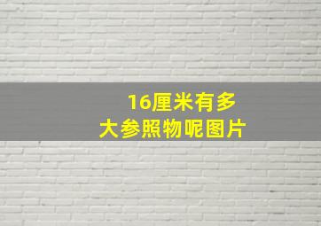 16厘米有多大参照物呢图片