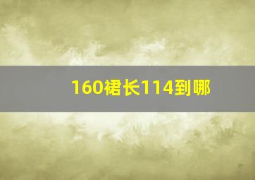 160裙长114到哪